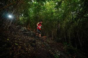 BIB: 
                            <button type="button" onclick="openModal(25097630)" class="btn btn-primary btn-sm float-right btn-popup" data-toggle="modal" data-target=".modal-high-quality">
                        <i class="fas fa-shopping-cart"></i> Add to Cart
                    </button>
                                            <button type="button" onclick="isThisMe(25097630, true)" class="btn btn-success btn-sm float-right btn-popup btn-isme hidden" data-toggle="tooltip" data-placement="bottom" title="นี่คือรูปของคุณใช่ไหม คลิกที่นี่เพื่อเอาเข้าอัลบั้ม">
                        <i class="fas fa-plus"></i> Add to album
                    </button>
                    <button type="button" onclick="isThisMe(25097630, false)" class="btn btn-warning btn-sm float-right btn-popup btn-isnotme hidden">
                        <i class="fas fa-ban"></i> Remove from album
                    </button>